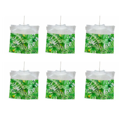 Fly Trap Disposable Fly Trap Set of 6
