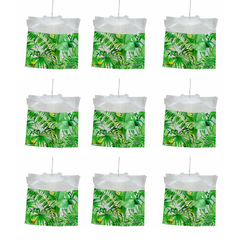 Monsoon Fly Control Tips- Stop the Rainy Season Fly Explosion FlyTrap® Disposable House fly Trap Set of 9