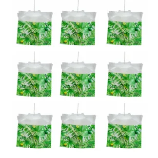 Disposable House fly Trap Set of 9