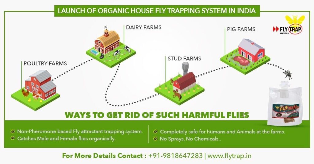 How Does The Organic Fly Trap Work?