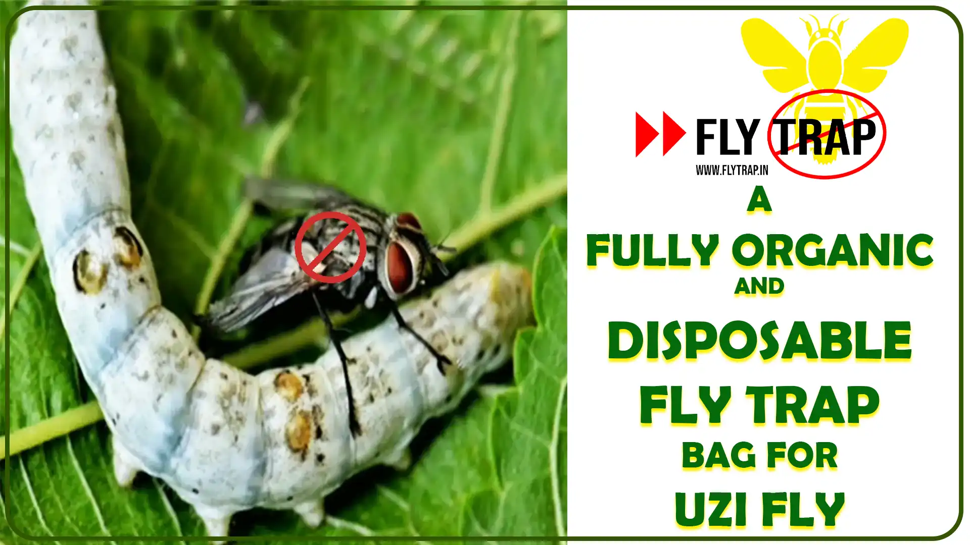 Organic Disposable Fly Trap Bag for Uzi Fly