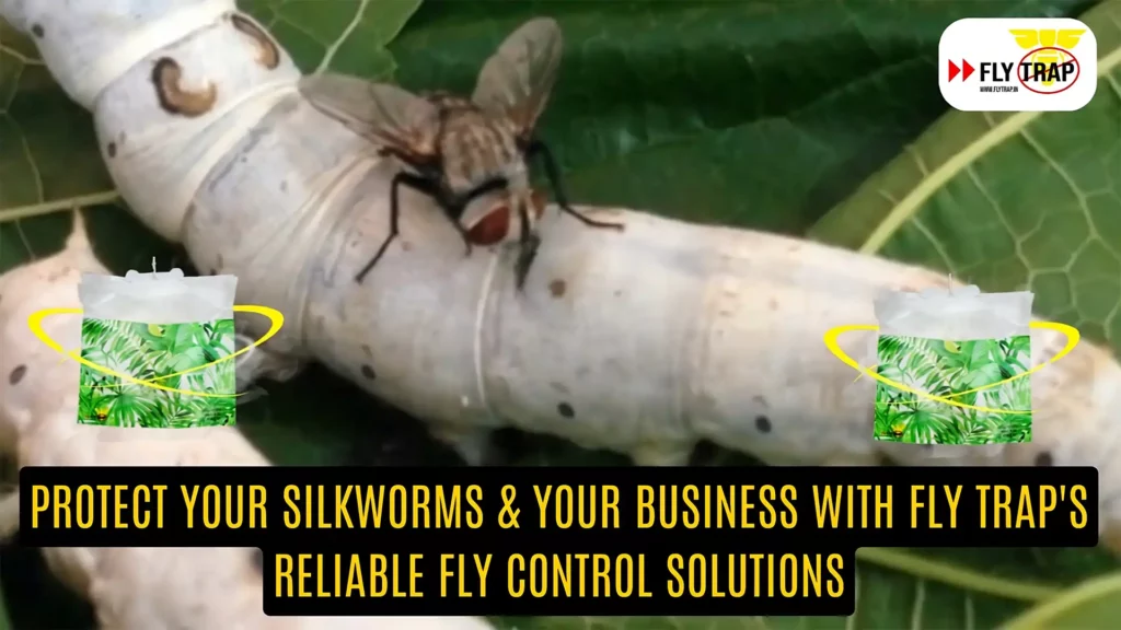 Protect Your Silkworms and Business with Uzi Fly Trap by FlyTrap.in