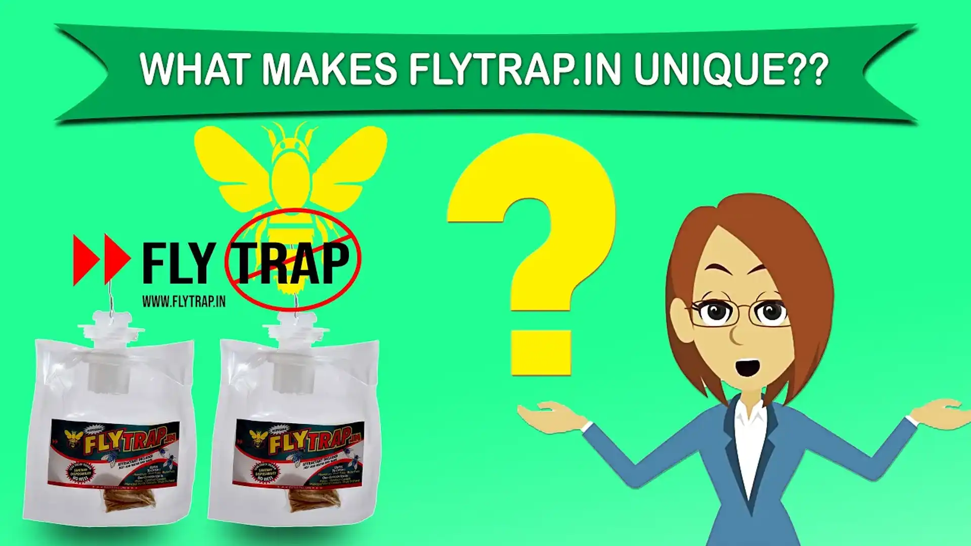 What Are Fly Traps & Why do You Need Them - Detail Explanation of Disposable Fly Traps by FlyTrap.in