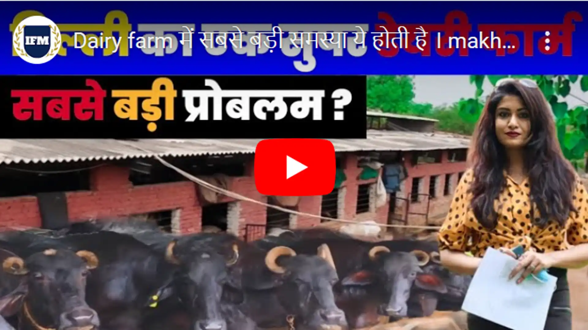 Dairy farm में सबसे बड़ी समस्या ये होती है । makhi bhagane ka tarika । Fly trap disposable fly trap