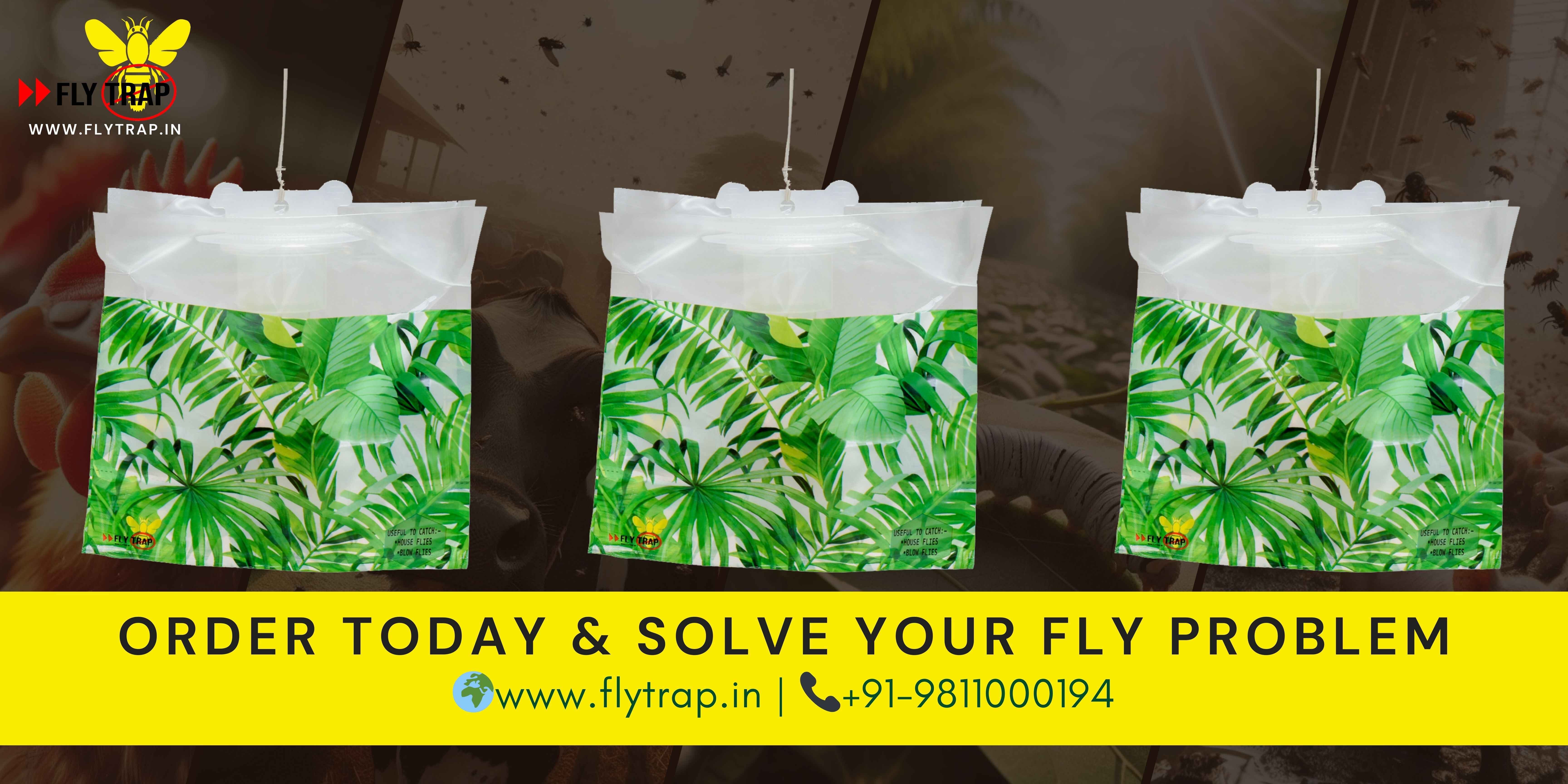 Order Organic Disposable Fly Traps today and Solve Your Fly Problems