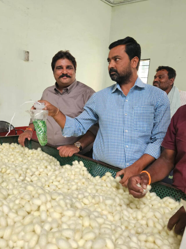 Discussion on Sericulture and Silkworm Rearing - GCM Kolar Karnataka FlyTrap