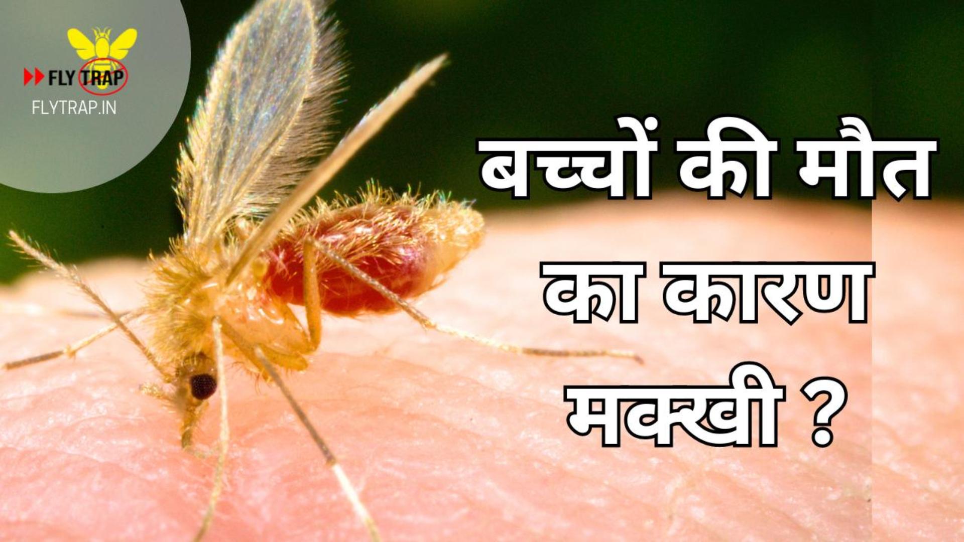 चांदीपुरा वायरस – मक्खी बन रही है मौत की वजह