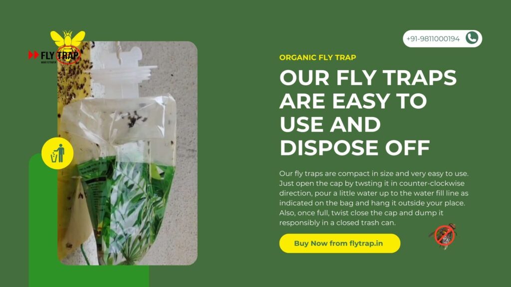Our fly traps are easy to use and dispose