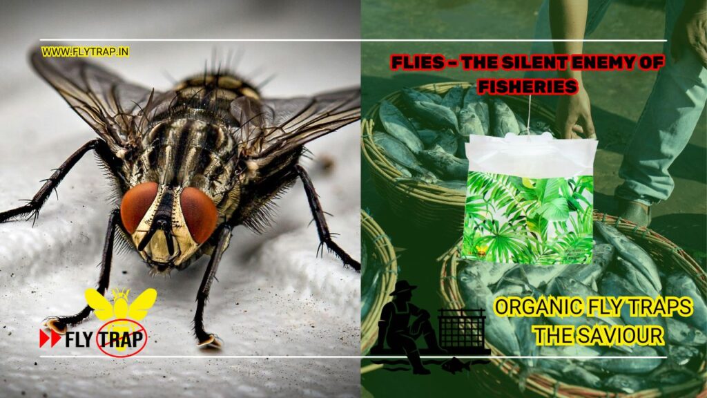 Fly Control in Fisheries: Organic Solutions for Fish Markets FlyTrap® Flies The Silent Enemy of Fisheries - FlyTrap an Organic Solution