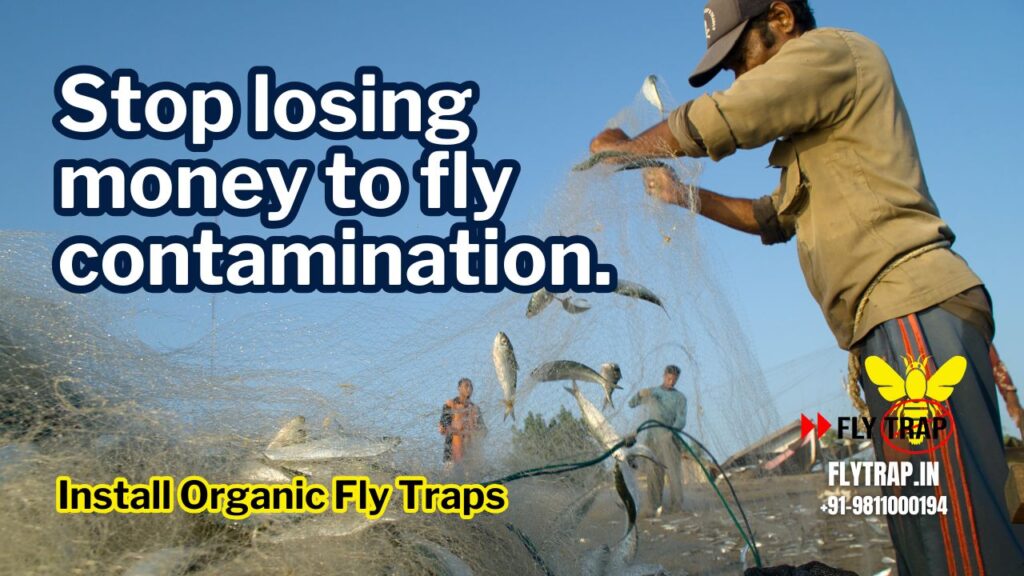 Fly Control in Fisheries: Organic Solutions for Fish Markets FlyTrap® Fly Control in Fisheries