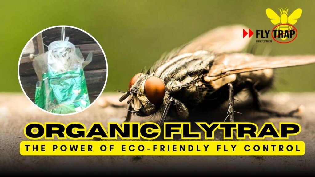 Fly Control in Fisheries: Organic Solutions for Fish Markets FlyTrap® Fly Trap - The Power of Eco-Friendly Fly Control
