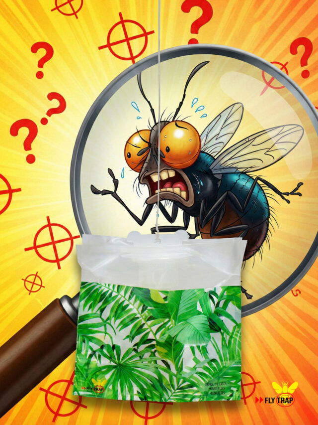 Organic Fly Trap to Get Rid of Flies - Flytrap.in