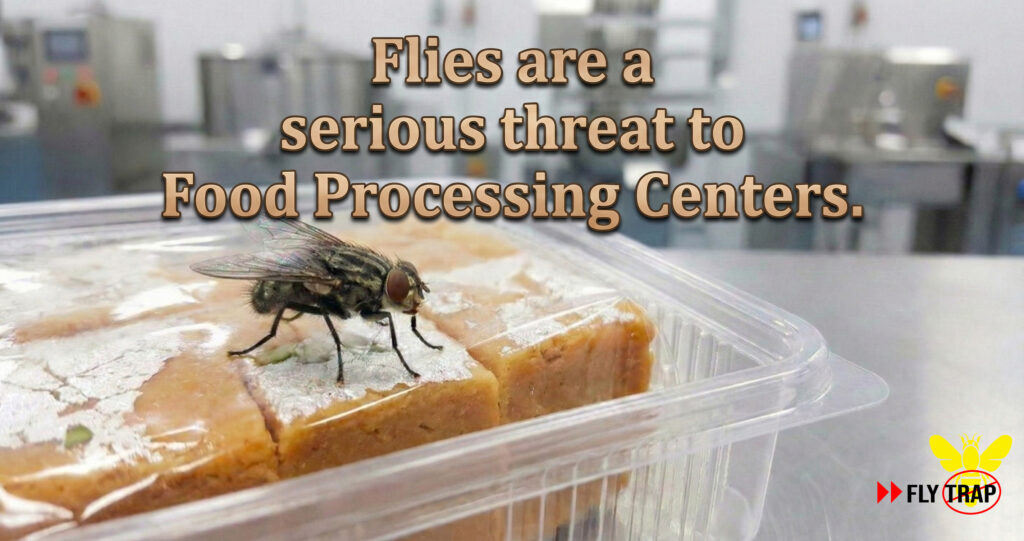Flies - Serious Threat to Food Processing Centers