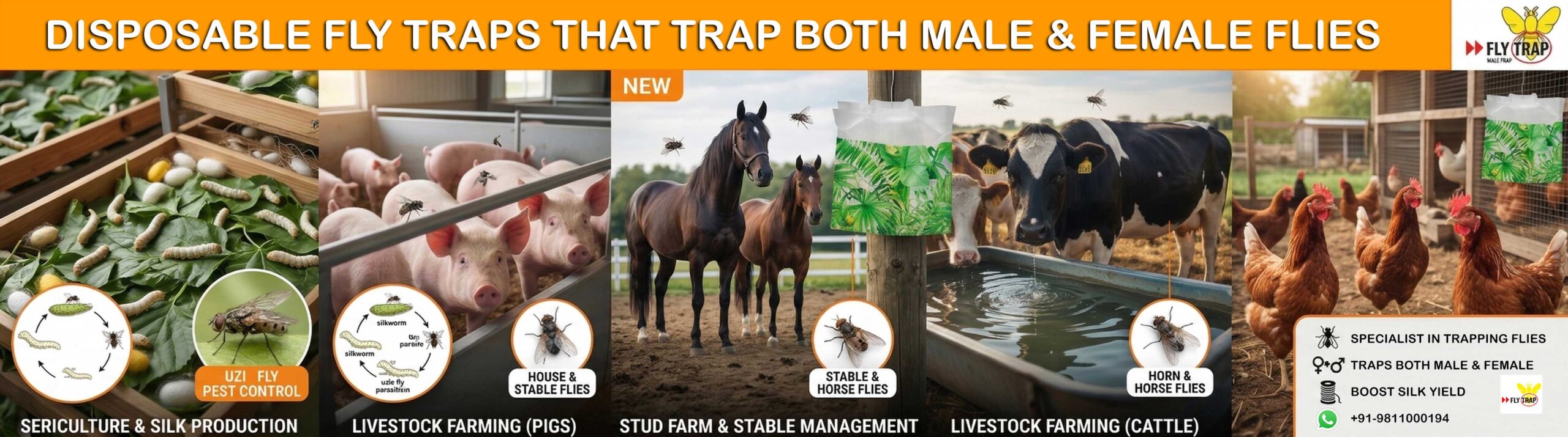 Disposable Fly Traps for All Sectors