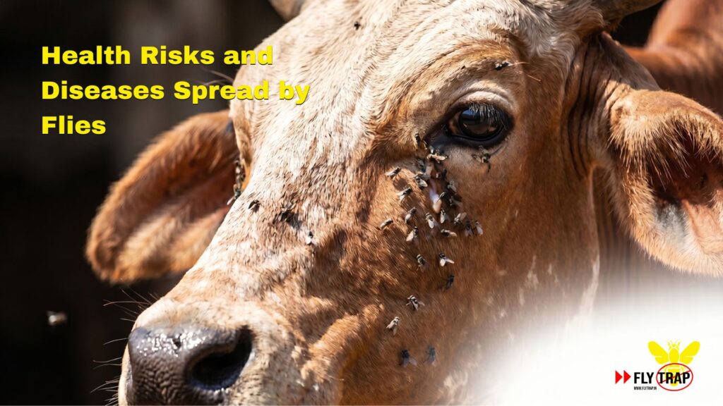 Keep Cows Safe; Top Outdoor Fly Traps for Gaushalas in India FlyTrap®